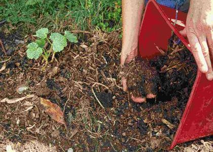 Que Tipos De Abonos Existen Para Las Plantas