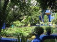 imagen El jardín mediterráneo, la vedette del momento