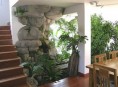 imagen Como cuidar las plantas de interior en invierno – Parte I