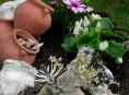 imagen Como tener un Jardín de Rocalla – Parte III