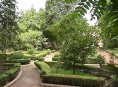 imagen Diseñar un jardín mediterráneo – Parte I