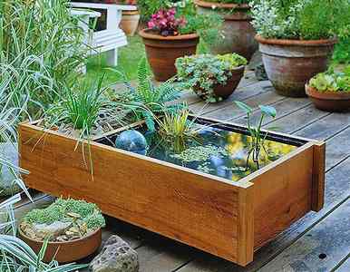 Piccolo giardino acquatico realizzato all'interno di un cassone