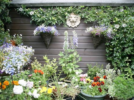vasi e piante rampicanti a decorazione di una serranda