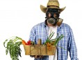 imagen Tips para usar pesticidas