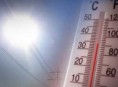 imagen Clima y cultivo de plantas: Temperatura