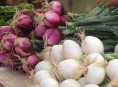 imagen Planta en tu huerto: Cebollas