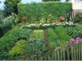imagen Plantas para un jardín ecológico