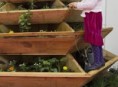 imagen Jardín piramidal