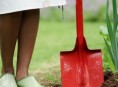 imagen Cómo y por qué usar cal y yeso en el jardín
