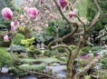 imagen Un jardín japonés