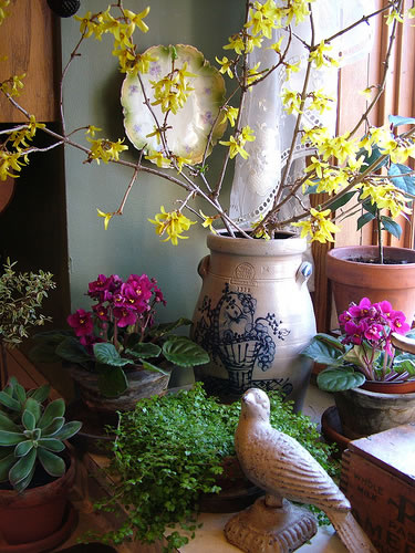 composizione floreale