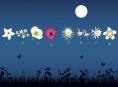 imagen Flores que prefieren la noche