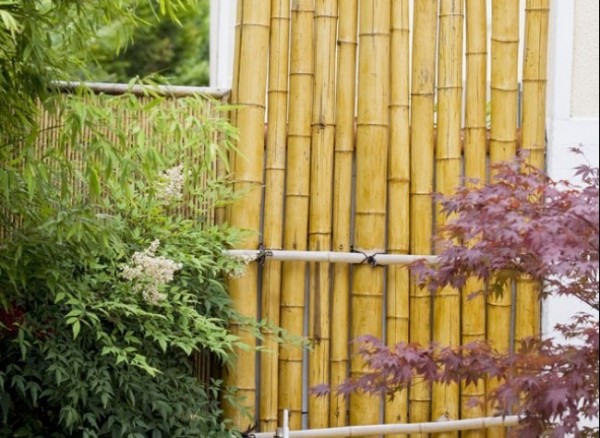 Cerca de bambú para el jardín o la terraza 1