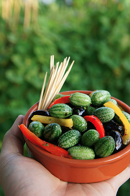 Cultivar cucamelon o sandía ratón 3