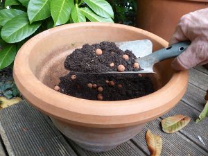 Palline Di Argilla 20 L – Oro Marrone, Protezione Per Giardino, Fatte In Francia