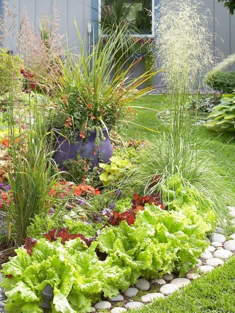orto e giardino nello stesso spazio