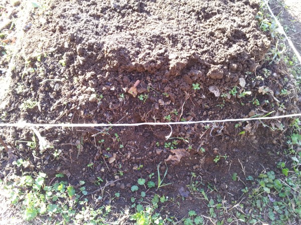 Fisicamente per realizzare un orto ad agricoltura sinergica è necessario coltivare in appezzamenti di circa 12o cm di base e 50 cm di altezza