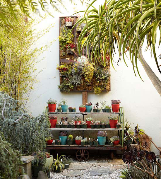 collezione di piante, disposte in una struttura realizzata ad hoc