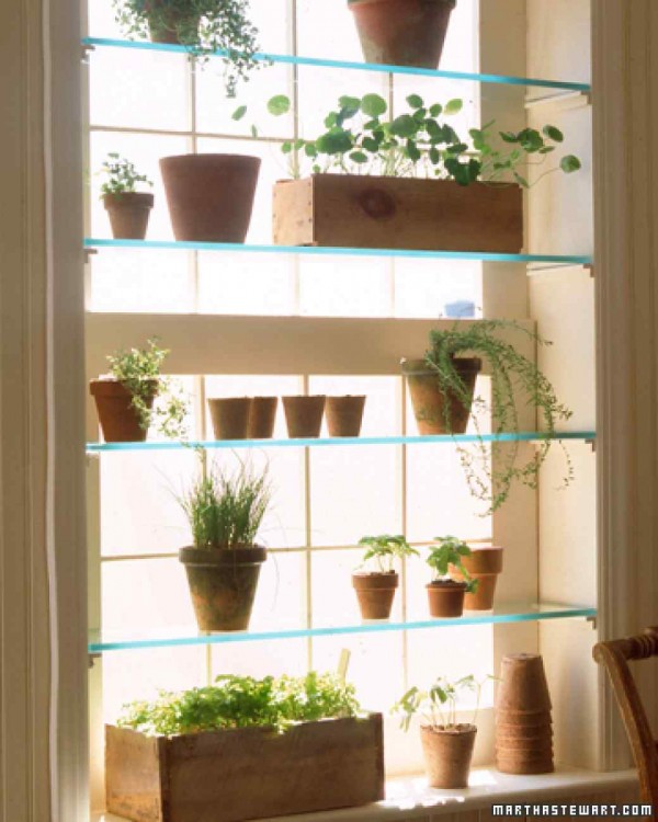 realizzare una piccola serra in casa sfruttando lo spazio di una finestra