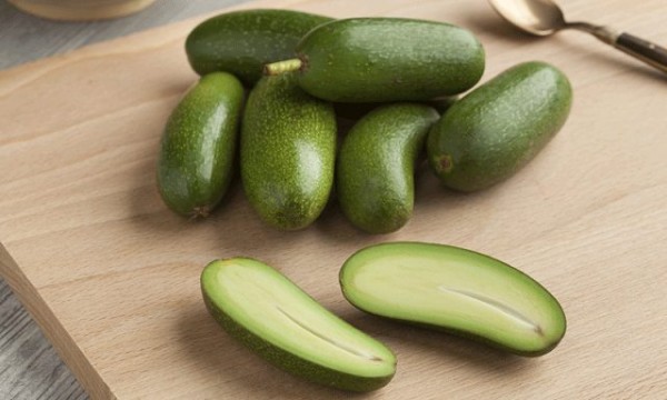 Le varietà nane di avocado non sviluppano seme poiché il frutto è davvero piccolo (7-8 cm)