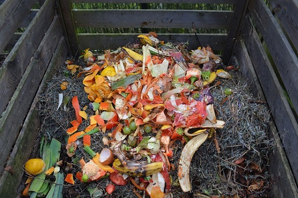 Compost domestico preparato con gli scarti del cibo umido