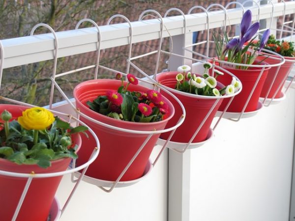 Ideas para crear un jardÃn en el balcón