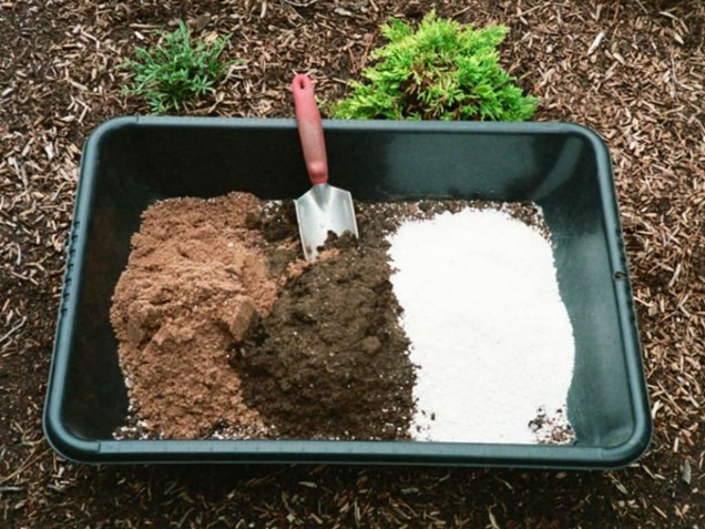 Como-hacer-tu-propio-suelo-para-suculentas2.jpg