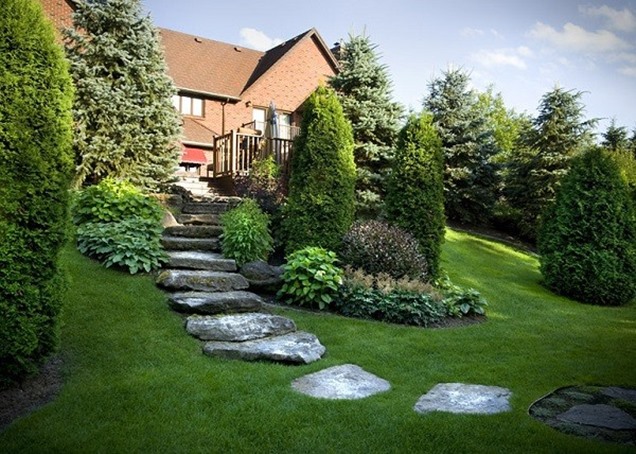 ¿Qué plantas van bien en una pendiente?