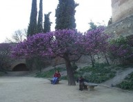 imagen Jardines del Mundo: La Alhambra