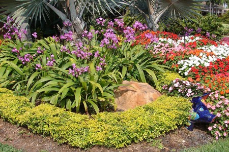 duranta-01 duranta-01