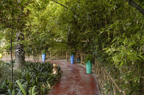 jardin-majorelle-12