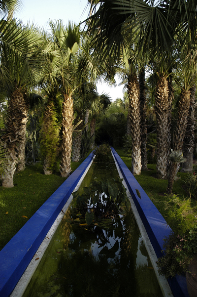 jardin-majorelle-18