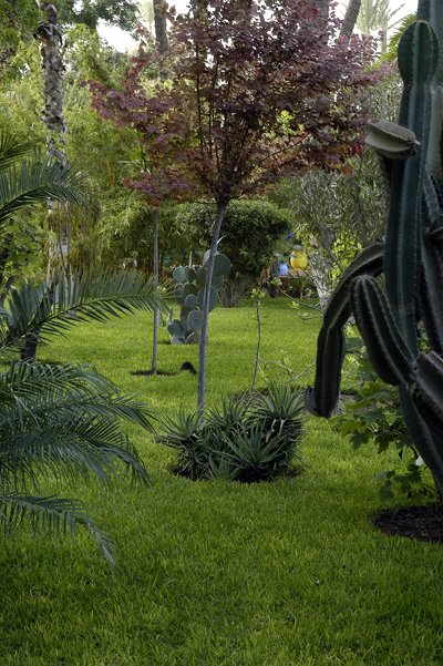 jardin-majorelle-19