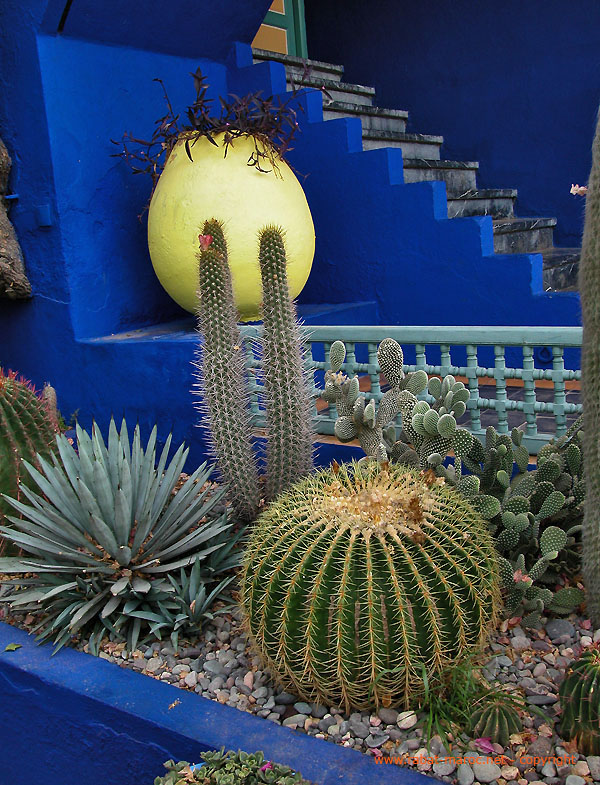 jardin-majorelle-22