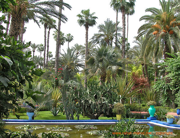 jardin-majorelle-24