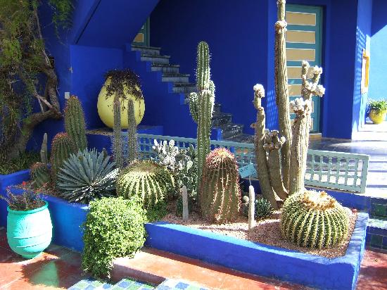 jardin-majorelle-30