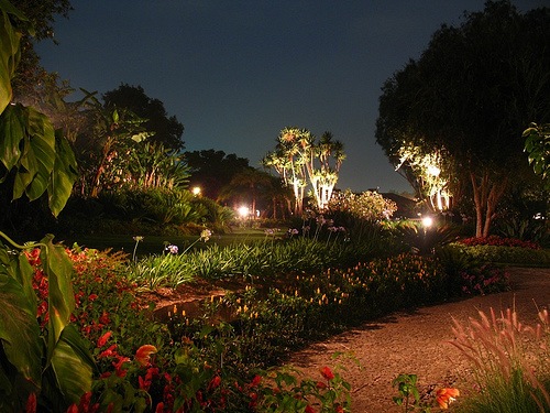 luces-en-tu-jardin-04