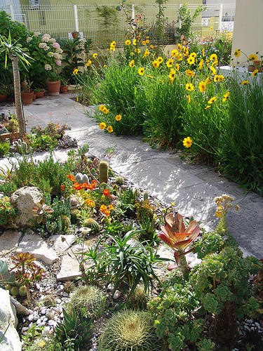 mantenimiento-del-jardin-antes-de-que-llegue-la-primavera