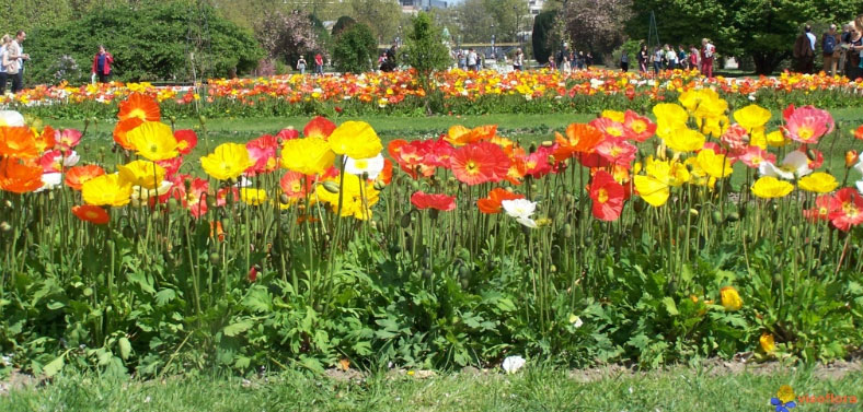 como-llevar-el-riego-en-verano