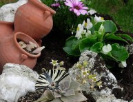 imagen Como tener un Jardín de Rocalla – Parte III