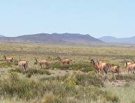 imagen Reservas Naturales para conocer – Parte I