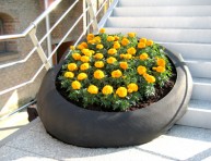 imagen Flores de Primavera – Parte I
