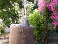 imagen Pequeños detalles del jardín – Parte I
