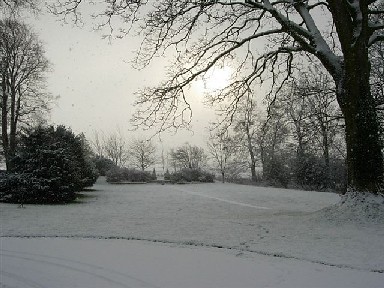 trabajos-de-invierno-en-el-jardin-p2-01