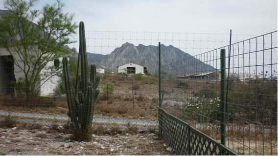 Las fotos de mi desierto casi al natural 1