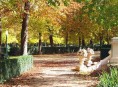 imagen Consejos para el otoño – Segunda Parte