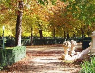imagen Consejos para el otoño – Segunda Parte