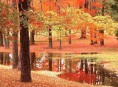 imagen Consejos para el otoño – Tercera Parte