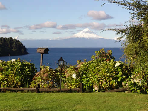 volcan y arbustos_JPG