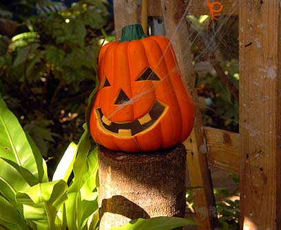 Decora tu jardín para Halloween-07